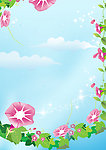 蓝天 白云 牵牛花