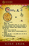 麦冬中医药文化