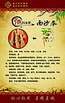 南沙参中医药文化