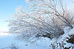 南河套雪景