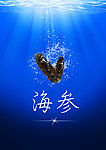 海参