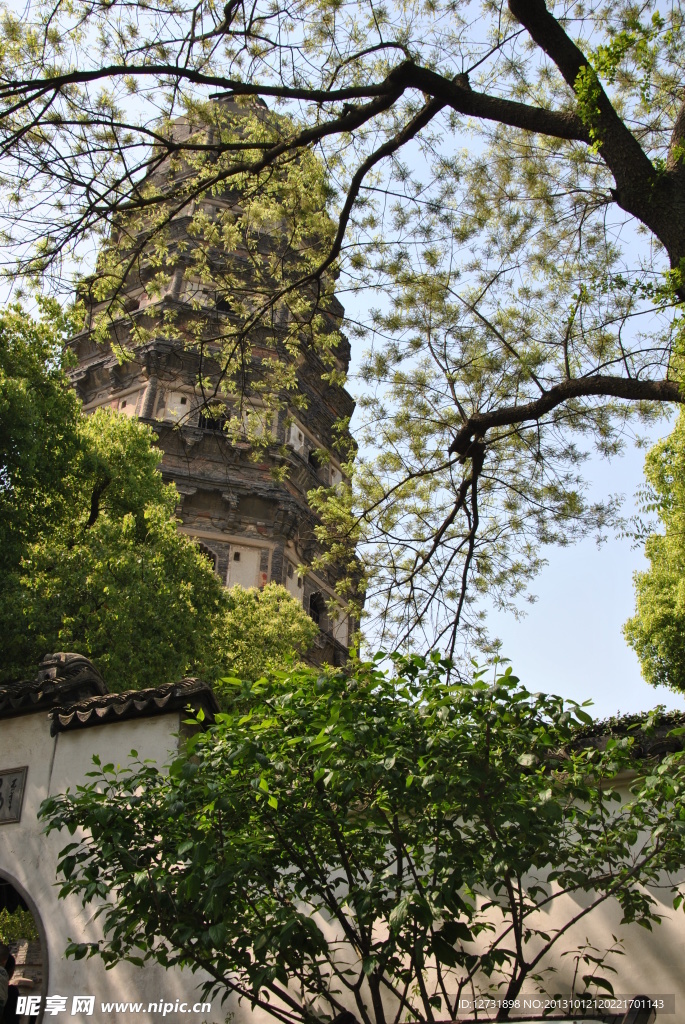 虎丘