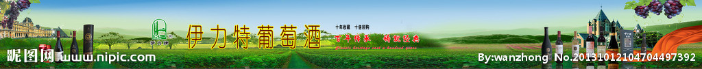 葡萄酒 葡萄 酒庄