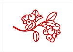 杨梅图案