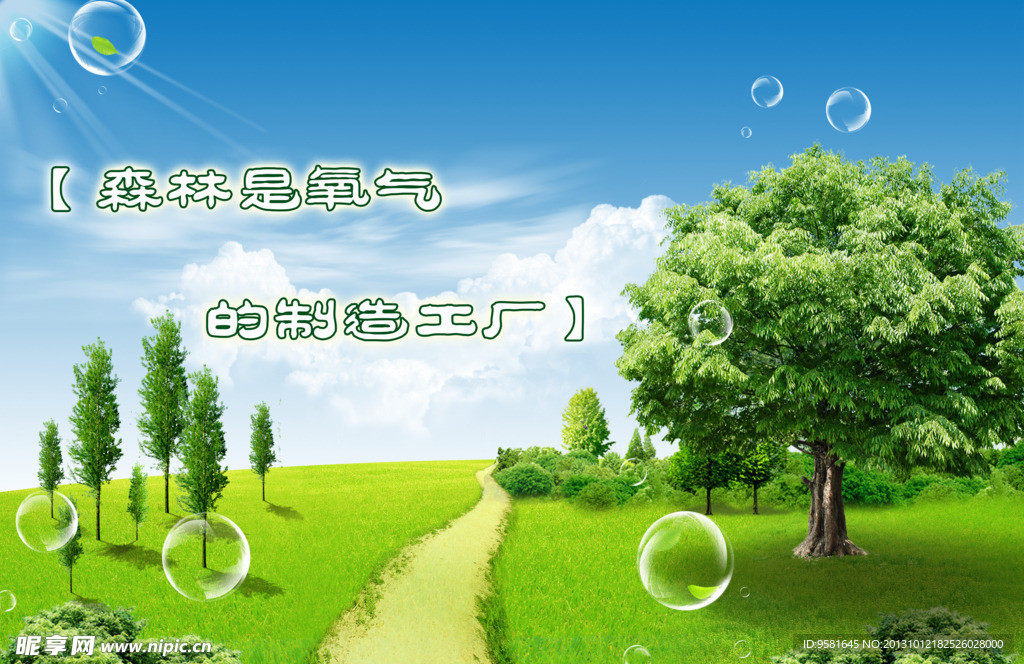 森林是氧气的制造工厂