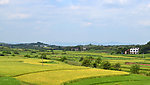 丰收原野