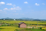 丰收地