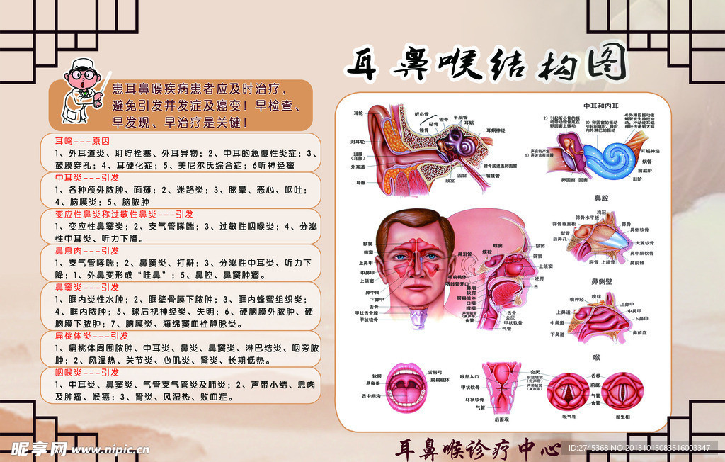 耳鼻喉结构图