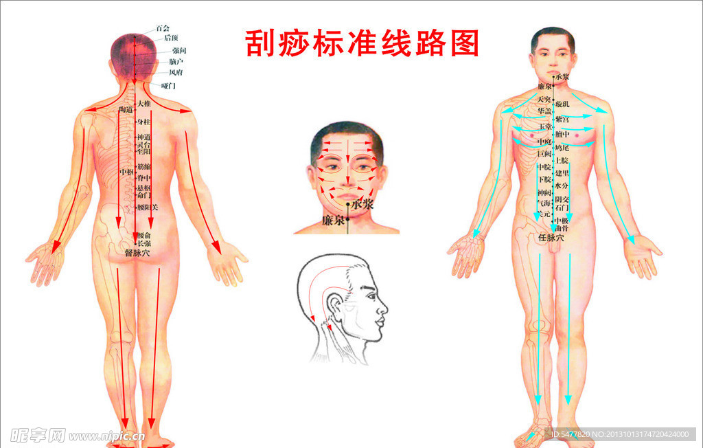 刮痧穴位图