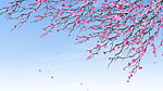 梅花腊梅高清视频素材