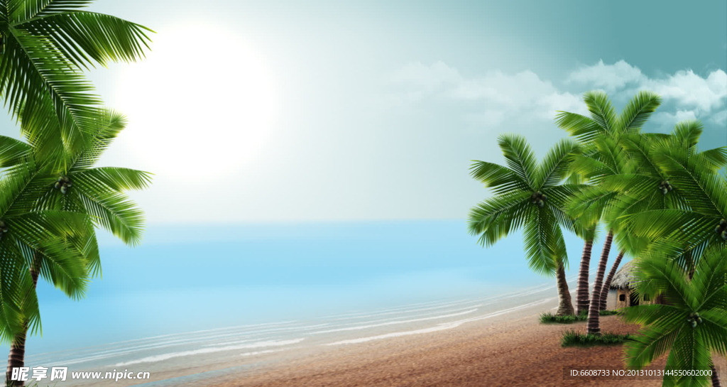 海边椰子树高清视频素