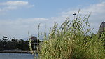 公园风景