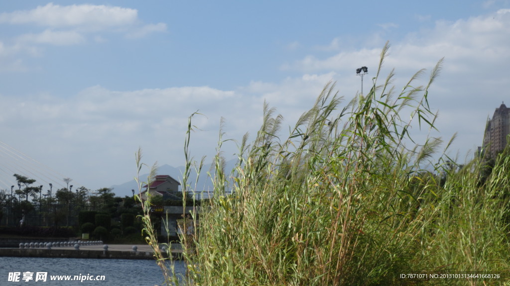 公园风景