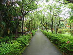台湾园林风光