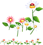 动漫 花卉