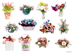 彩色花卉