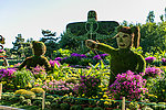 花坛