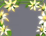 动态花藤背景视频素材
