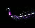 动态粒子星光背景视频