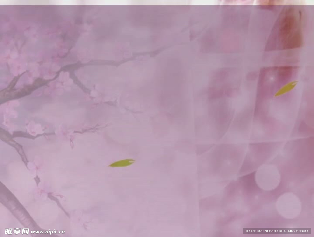 动态桃花背景视频素材