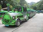 游览观光车