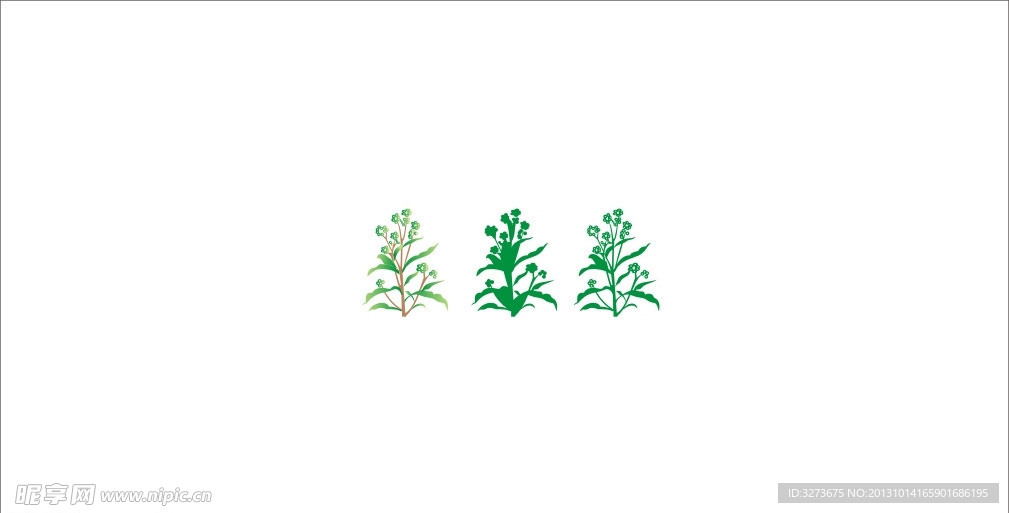 赶黄草