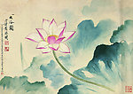 荷花