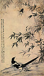 和平喜鹊