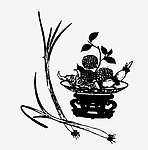 聪明伶俐