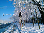 冬天道路旁雪景