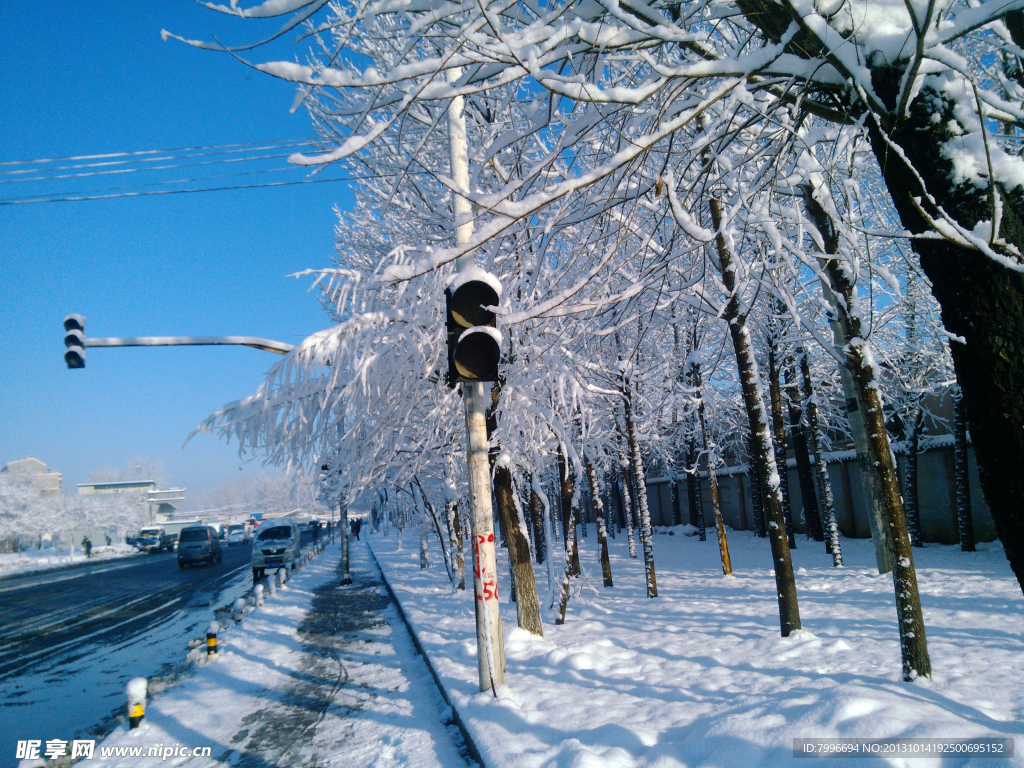 冬天道路旁雪景