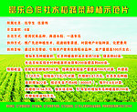 水稻农业宣传栏