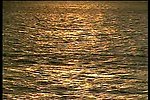 动态大海海水视频素材