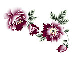 手绘花
