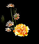 手绘花
