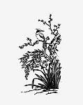 天仙拱寿