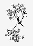 同喜
