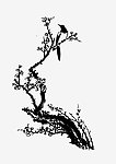 喜上眉梢