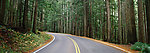 公路