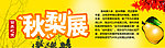 大丰收 鸭梨海报