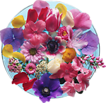 花瓣