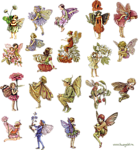天使和花