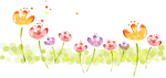彩色花卉