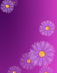 花纹背景