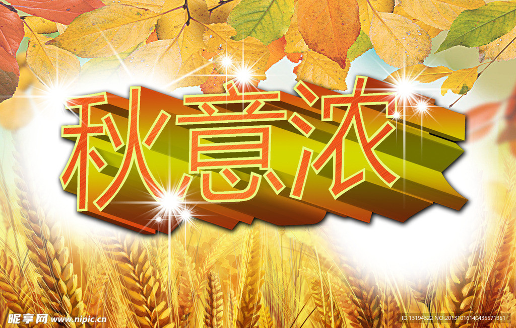 秋季 秋意浓