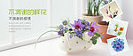 花banner 素材