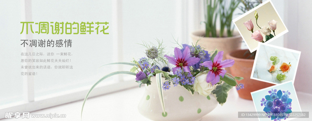 花banner 素材