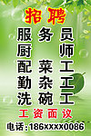 招聘写真