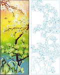 玉兰花