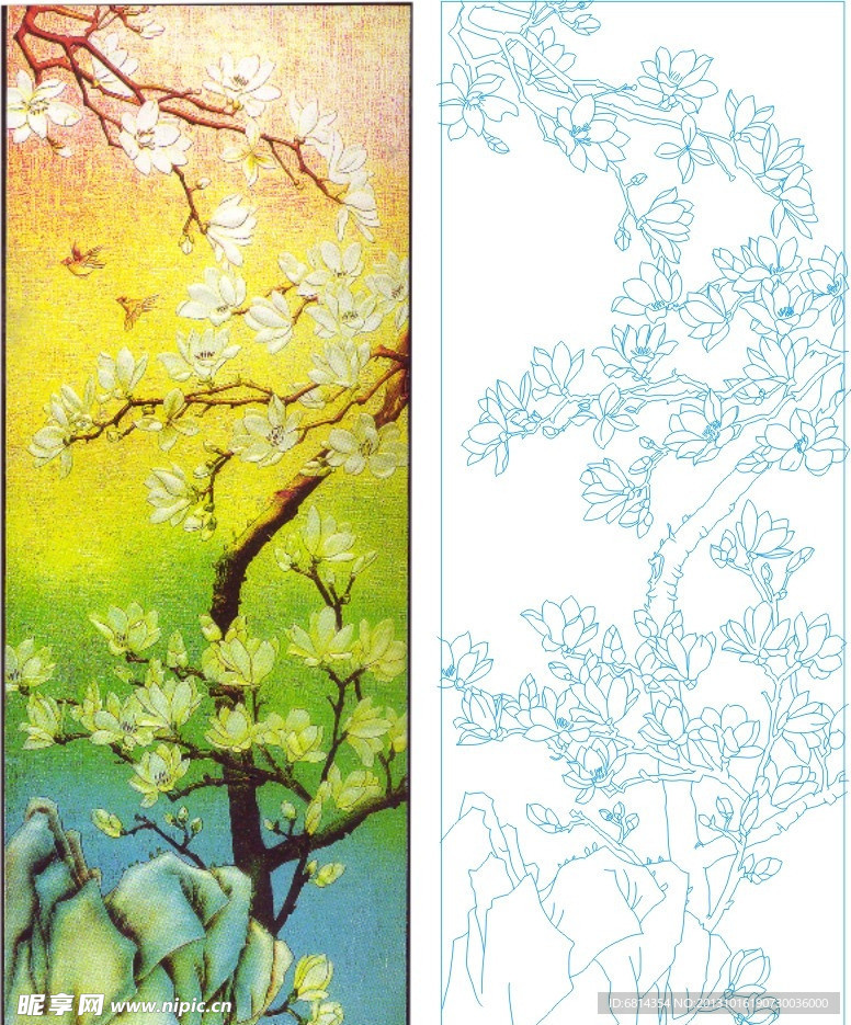 玉兰花